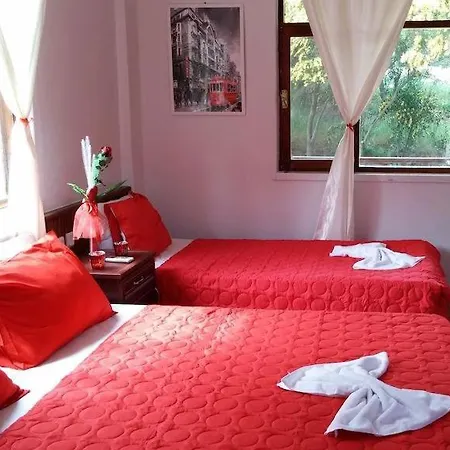 Hotel Pisilis Otel Sarigerme *